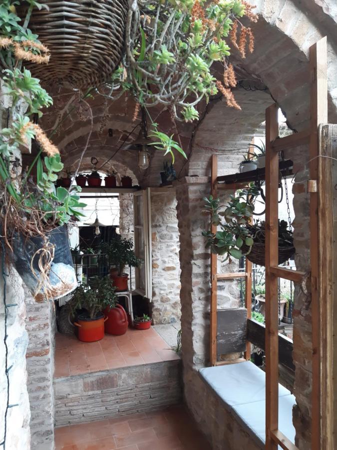 Attic With Balcony At Locanda Del Capo Capannori Luaran gambar
